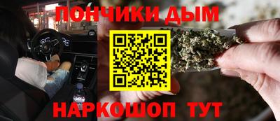 стаф Можга