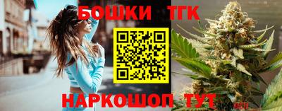стаф Можга
