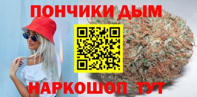 стаф Можга