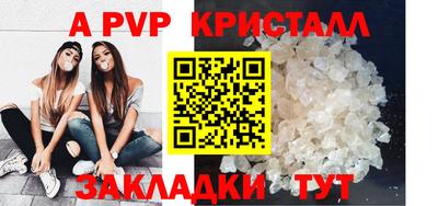 стаф Можга
