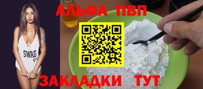 стаф Можга