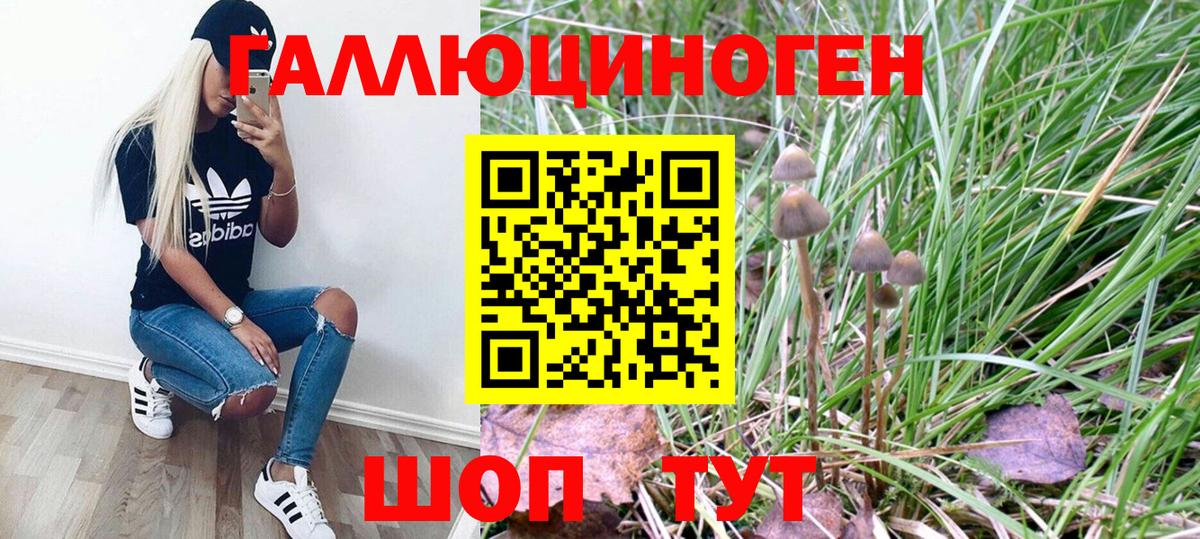 Псилоцибиновые грибы мухоморы Тимашёвск