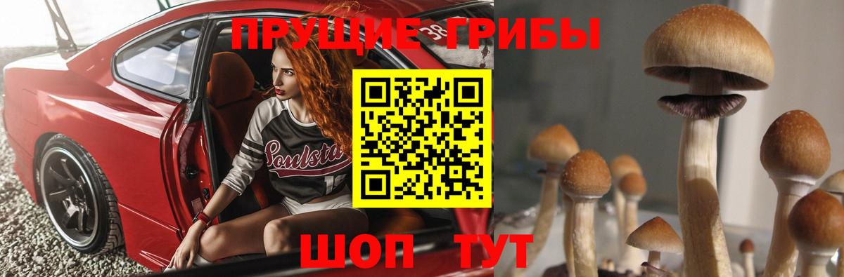Тимашёвск  Галлюциногенные грибы мицелий  Вход с VPN 
